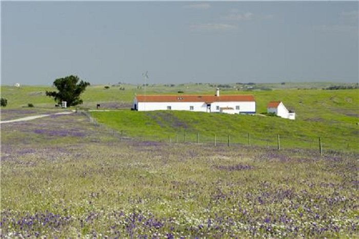 A Natureza do Cante