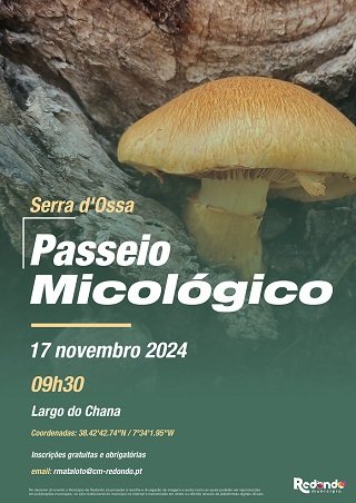 Passeio Micológico Serra d´Ossa