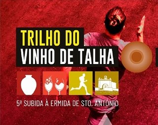 Trilho do Vinho de Talha